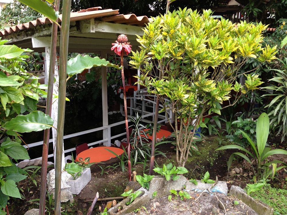 Socialtel Boquete Hotel Luaran gambar